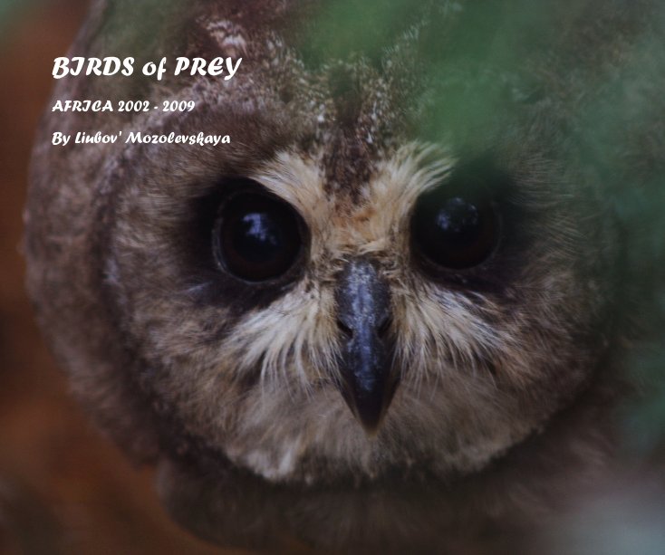 View BIRDS of PREY by Liubov' Mozolevskaya