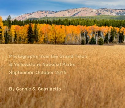 Teton & Yellowstone National Parks book cover