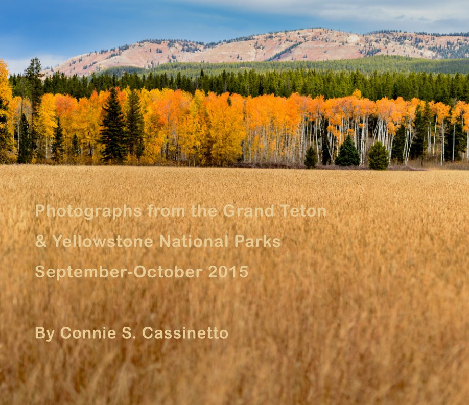 View Teton & Yellowstone National Parks by Connie Cassinetto