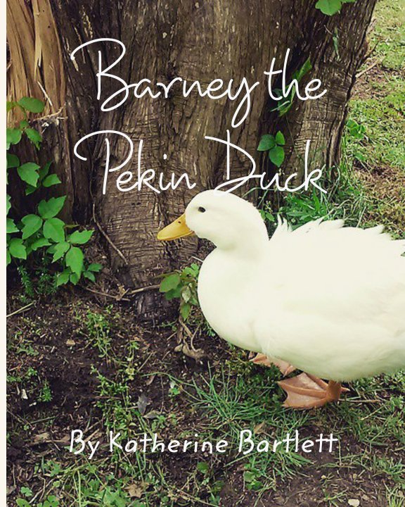 View Barney the Pekin Duck by Katherine Bartlett