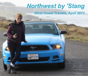 Northwest by 'Stang book cover