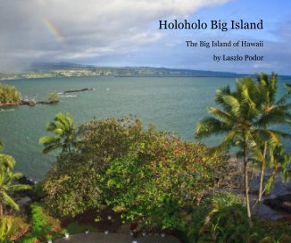 Holoholo Big Island book cover