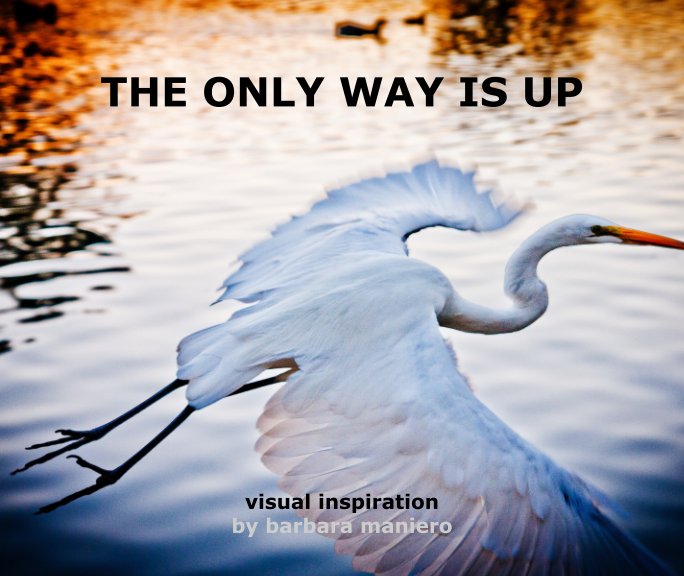 Visualizza THE ONLY WAY IS UP di Barbara Maniero