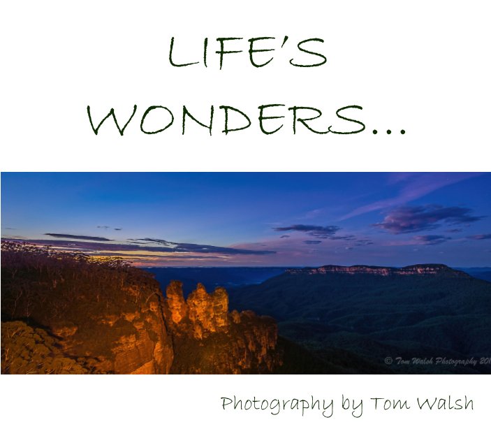 View Life's Wonders 2015 by Tom Walsh