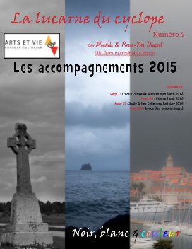 LA LUCARNE DU CYCLOPE - numéro 4 (Accompagnements Arts et Vie 2015) book cover