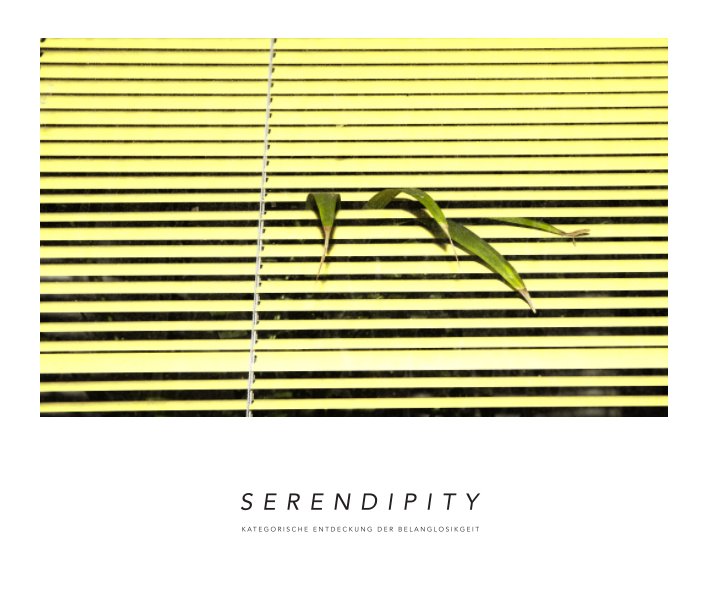 View SERENDIPITY - Die Entdeckung der Belanglosigkeit by Julia Schneider
