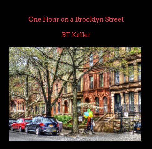 View One Hour on a Brooklyn Street by BT Keller