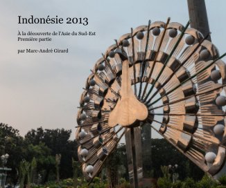 Indonésie 2013 book cover