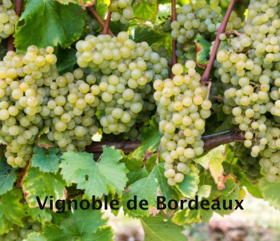 Vignoble de Bordeaux book cover