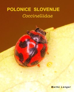 POLONICE SLOVENIJE Coccinellidae book cover