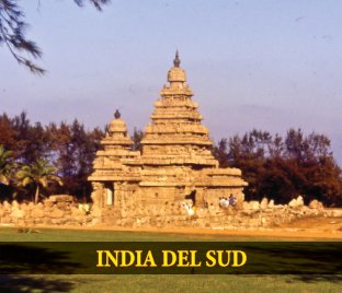 India del sud book cover