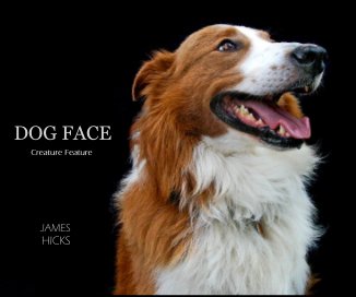DOG FACE book cover