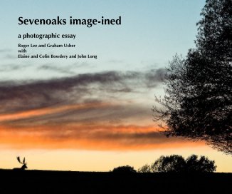 Sevenoaks image-ined book cover
