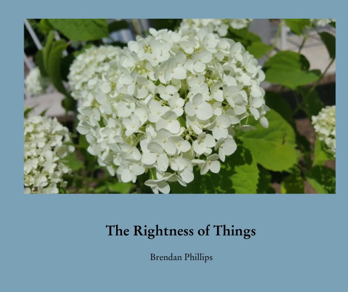 View The Rightness of Things by Brendan Phillips