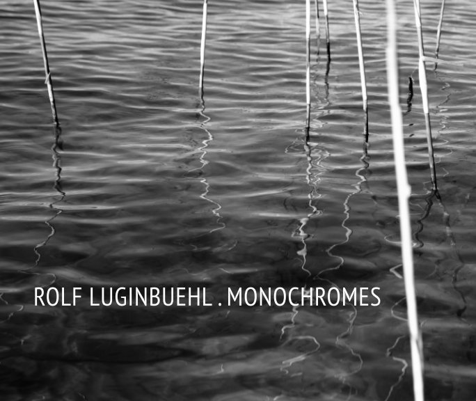 Monochromes nach Rolf Luginbuehl anzeigen
