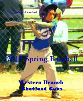 2013 Spring Baseball book cover