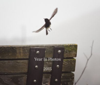 Year In Photos  2015 book cover
