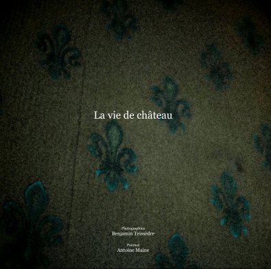 La vie de château book cover