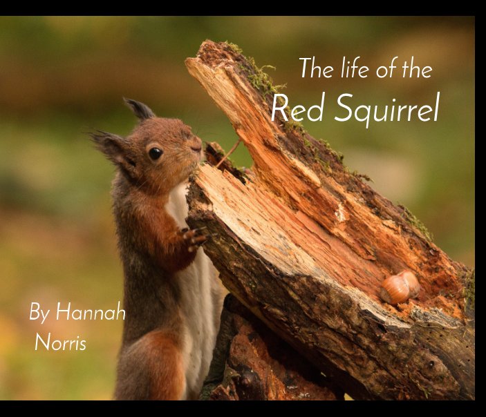 Visualizza The life of the red squirrel di Hannah Norris