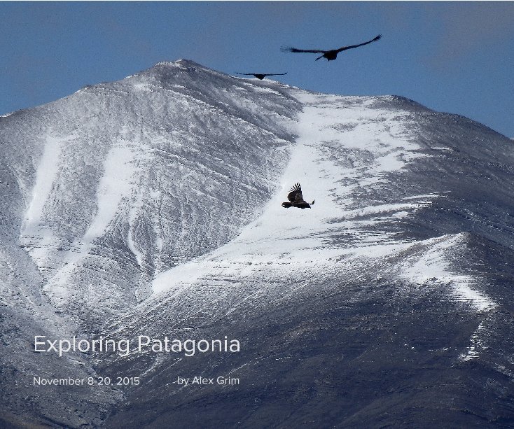 View Exploring Patagonia by Alex Grim