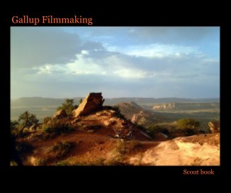 Gallup Filmmaking Scout book book cover