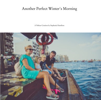 Another Perfect Winter's Morning book cover
