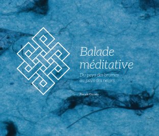 Balade méditative book cover