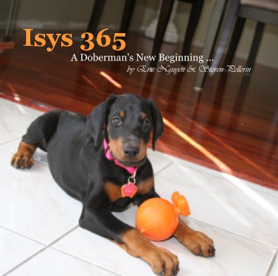 Isys 365 book cover