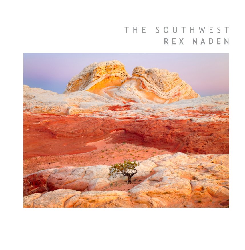 View The Southwest by Rex Naden