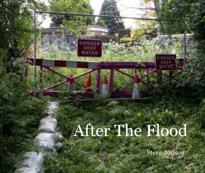 After The Flood book cover
