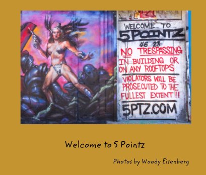 Welcome to 5 Pointz book cover