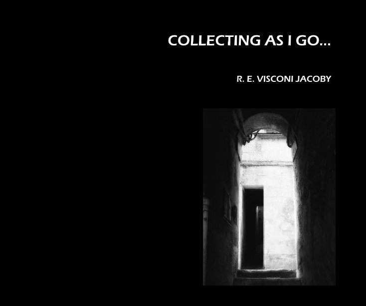 View COLLECTING AS I GO... by R. E. VISCONI JACOBY