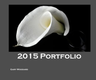 2015 Portfolio book cover