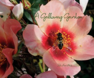 A Galloway Garden book cover