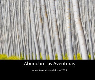 Abundan Las Aventuras book cover