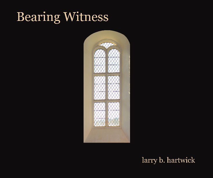 View bearing witness by larry b. hartwick