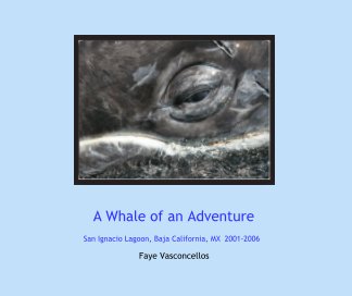 A Whale of an Adventure book cover