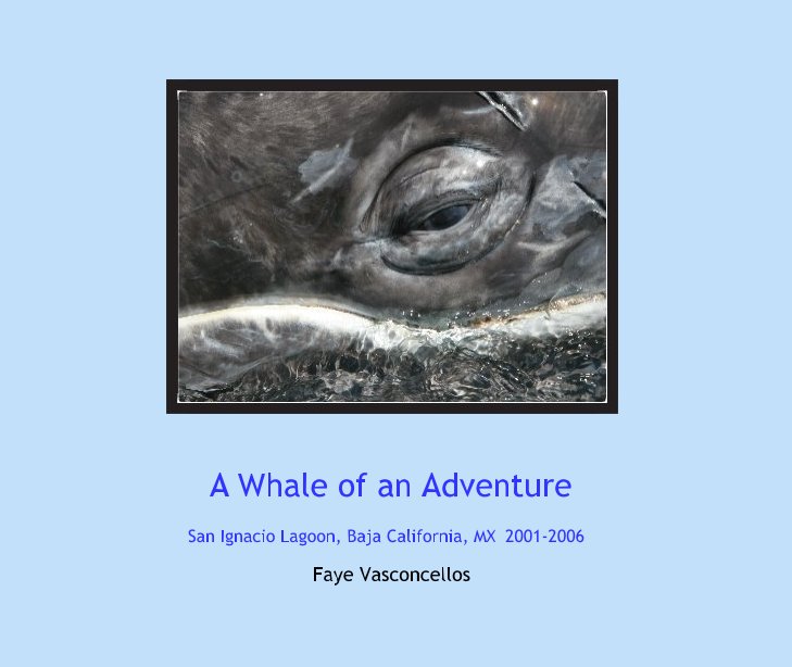 View A Whale of an Adventure by Faye Vasconcellos