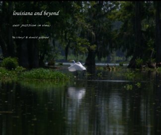 louisiana and beyond book cover