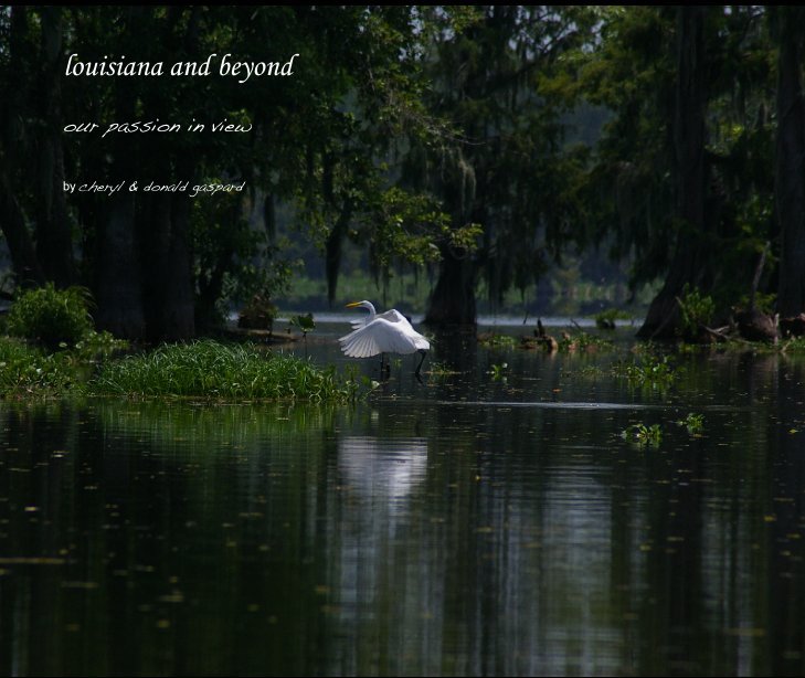 louisiana and beyond nach cheryl & donald gaspard anzeigen