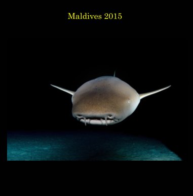 Maldives 2015 book cover