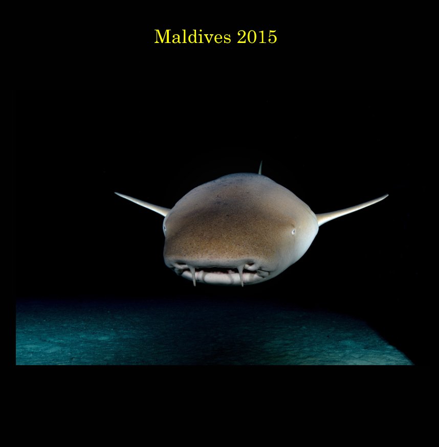 Ver Maldives 2015 por Dennis Malmström
