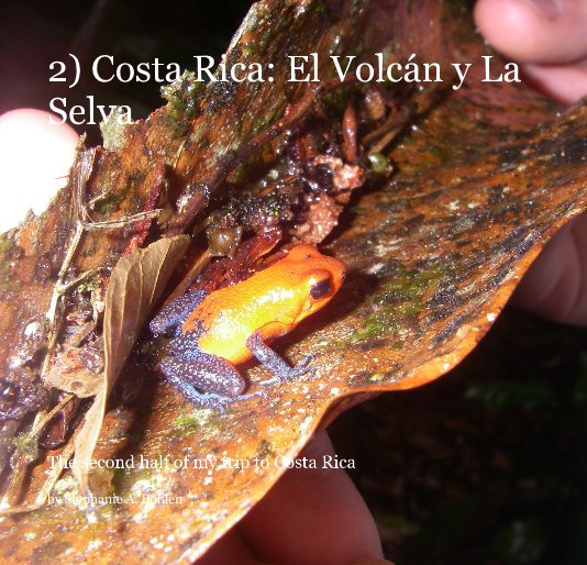 View 2) Costa Rica: El VolcÃ¡n y La Selva by Stephanie A. Bohlen