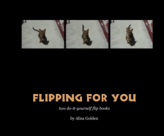 Flipping for You book cover