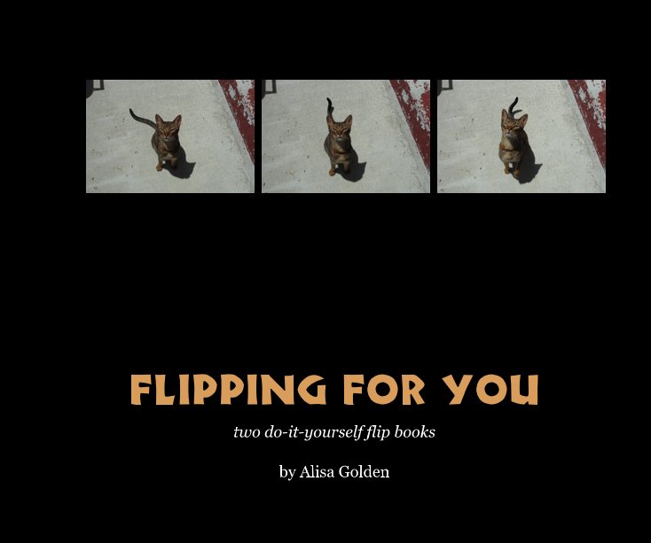 View Flipping for You by Alisa Golden