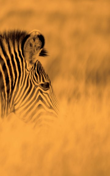View Alive! zebra stripes - Sepia - Photo Art Notebooks (5 x 8 series) by Eva-Lotta Jansson