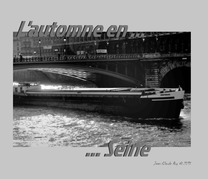 View L'automne en Seine by Jean-Claude Roy