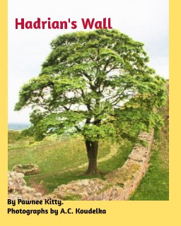 Hadrian's Wall book cover
