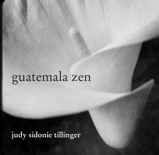 guatemala zen book cover
