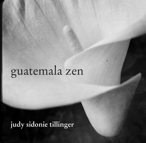 Ver guatemala zen por judy sidonie tillinger
